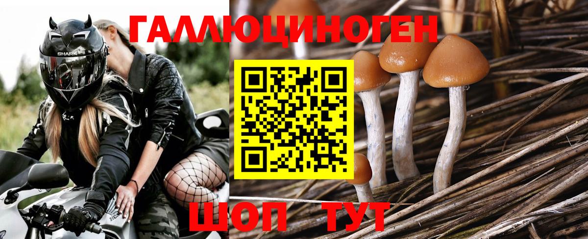 Псилоцибиновые грибы MAGIC MUSHROOMS  Псилоцибиновые грибы Psilocybine cubensis  Вход с VPN  Миасс 